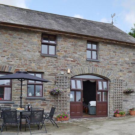 Ty Coch Cottage Dihewid Exterior foto